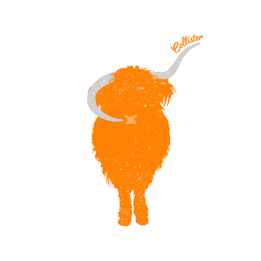 HighlandCow Rodd of Coll Highland Cow
