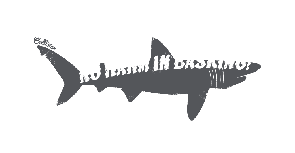 Shark2018 Basking Shark T-Shirts